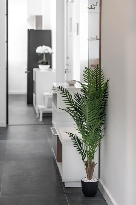 Diva Apartman Dubrovnik